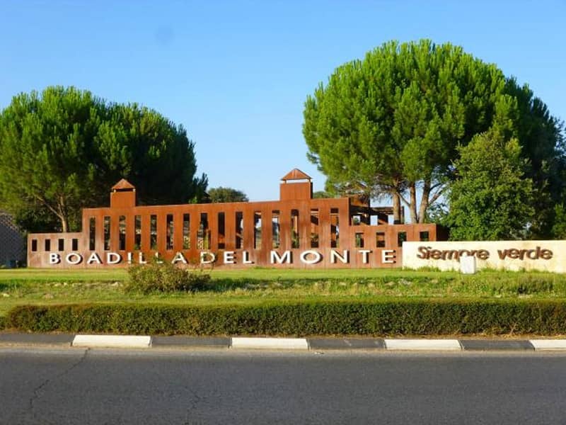 vtc boadilla del monte taxi