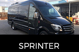 mercedes clase sprinter